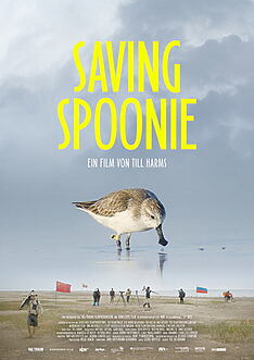 Filmplakat zu Saving Spoonie