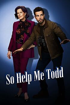 Serienplakat zu So Help Me Todd