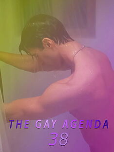 Filmplakat zu The Gay Agenda 38