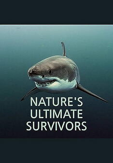 Serienplakat zu Tierische Überflieger