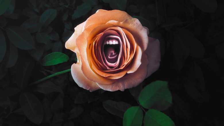 Bild aus der Serie ROAR – Frauen, die ihre Stimme erheben