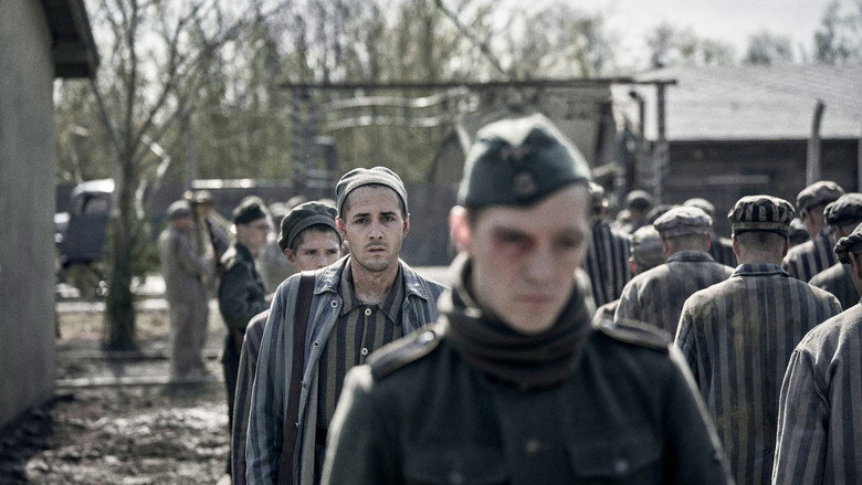 Bild aus der Serie The Tattooist of Auschwitz