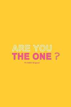 Serienplakat zu Are You The One?