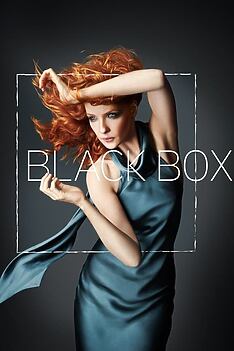 Serienplakat zu Black Box