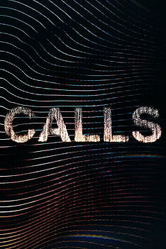 Serienplakat zu Calls