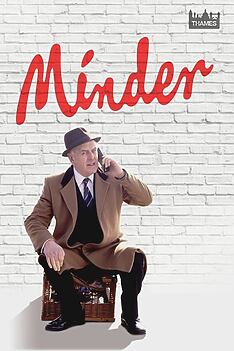 Serienplakat zu Der Aufpasser