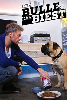Serienplakat zu Der Bulle und das Biest