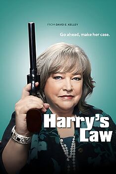 Serienplakat zu Harry's Law