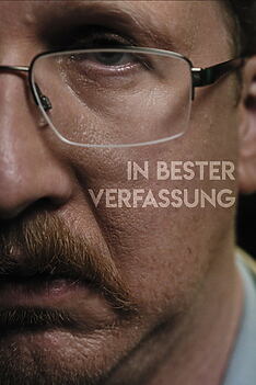 Serienplakat zu In bester Verfassung