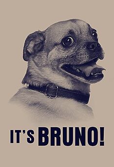 Serienplakat zu It’s Bruno!