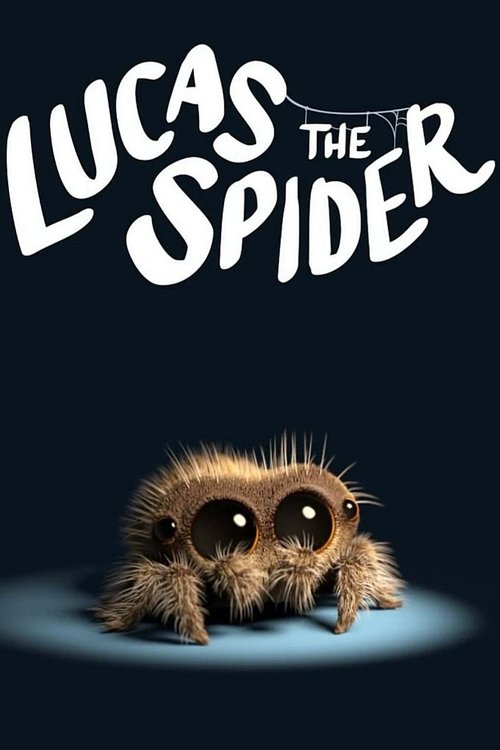 Lukas, die Spinne