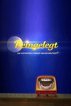 Serienplakat zu Reingelegt