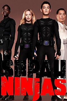 Serienplakat zu Supah Ninjas