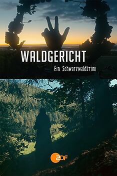 Serienplakat zu Waldgericht - Ein Schwarzwaldkrimi
