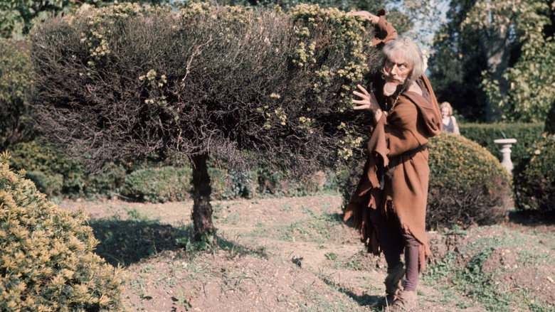 Bild aus der Serie Catweazle
