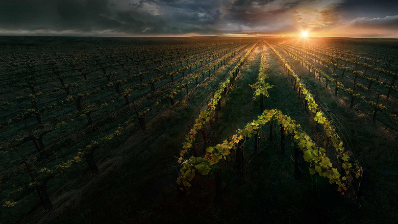 Bild aus der Serie Star Trek: Picard