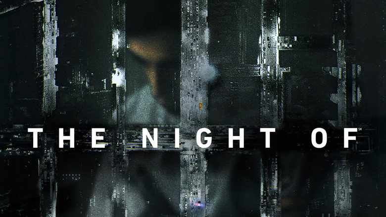 Bild aus der Serie The Night Of - Die Wahrheit einer Nacht