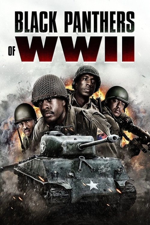 Black Panthers of WWII – Amerikas wahre Helden