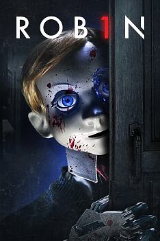 Filmplakat zu Rob1n