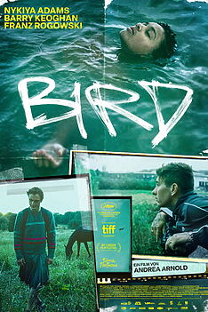 Filmplakat zu Bird