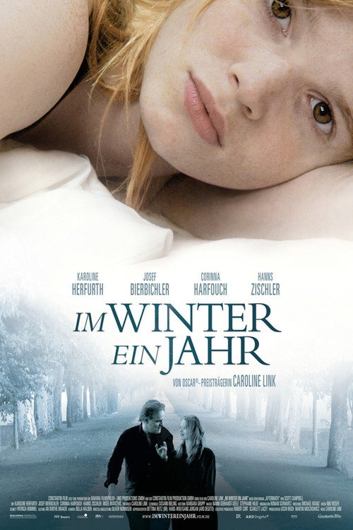 Filmplakat zu Im Winter ein Jahr