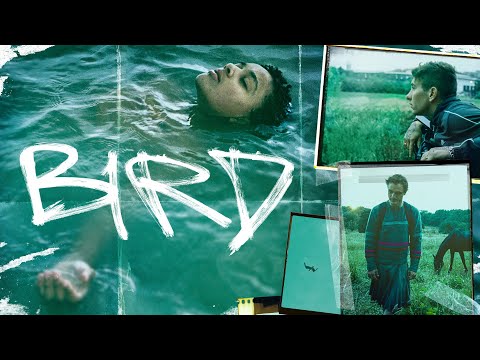 Trailer-Vorschaubild zu Bird