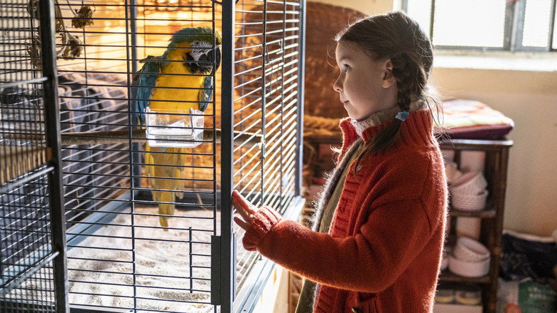 Bild aus Kommt ein Vogel geflogen