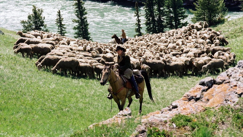 Bild aus Brokeback Mountain